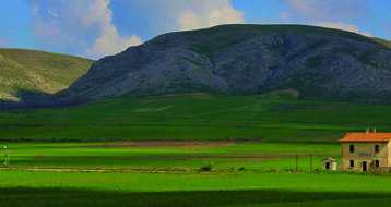 c8f2c626-f620-430a-9636-a4a2c00656d5