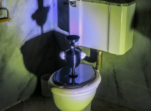 newborn-001 newborn-001