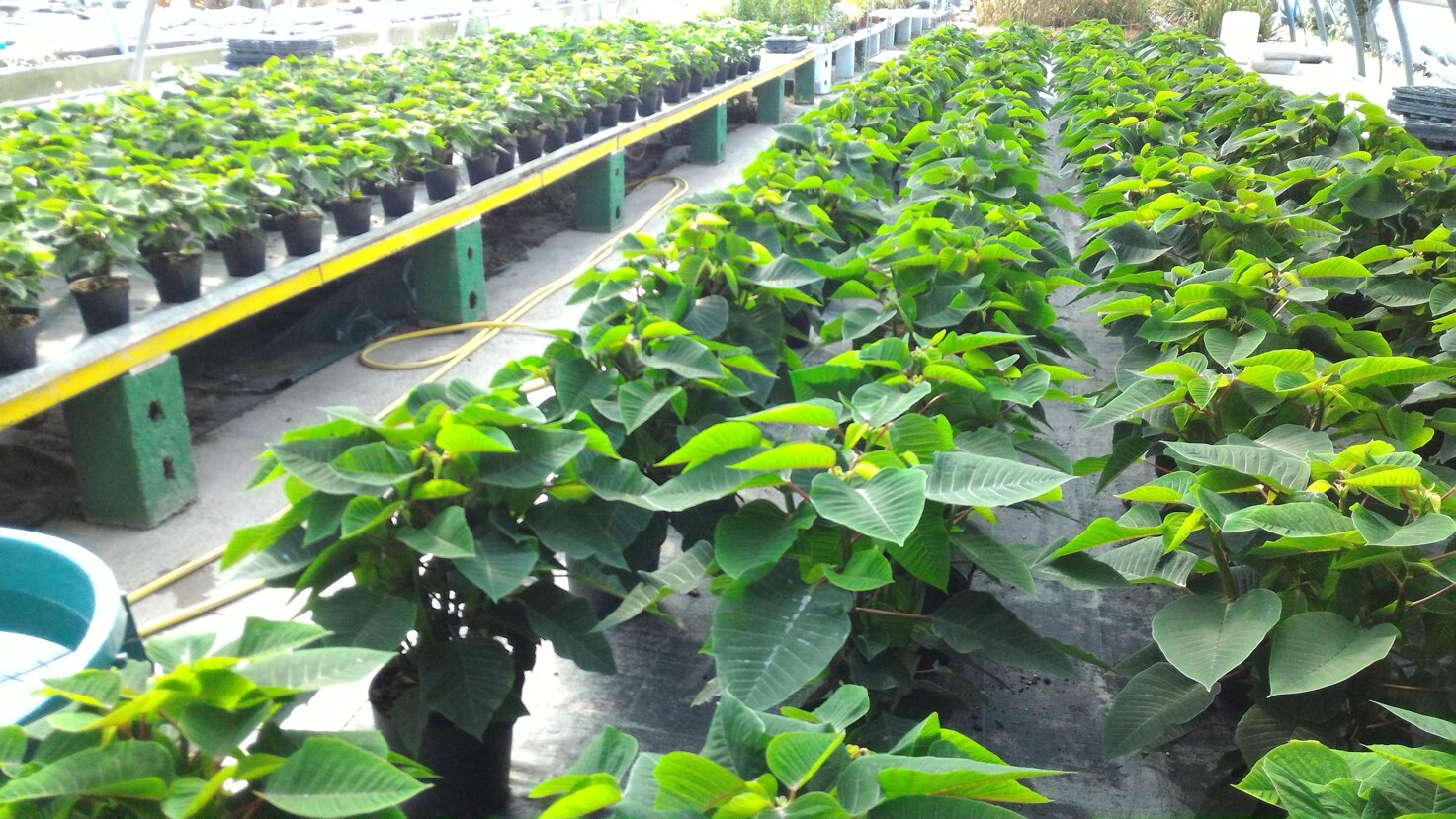 41543dcf-ab7f-42e1-a14d-717c90e85529