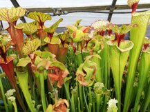 798705ca-c986-4ef3-b867-d6331c797502