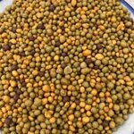 concime-completo-lenta-cessione