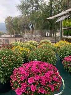 cd6bf552-2a0f-43e9-85cf-4a552f91de49