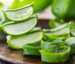 aloe-aloe-vera