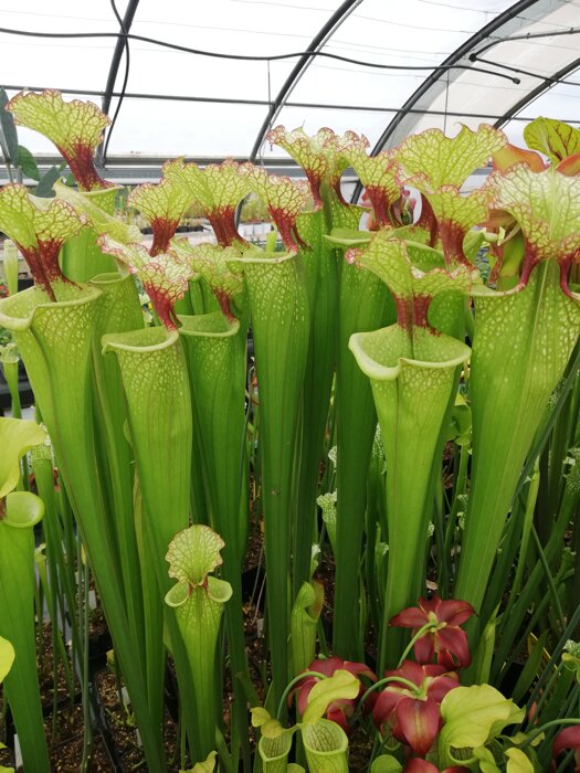 c4d06d00-b437-46db-9ae9-6efabc31dc33