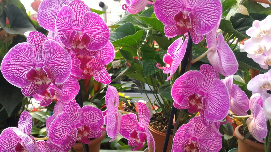 822019bd-560b-47f7-9e57-9d4cfee1f344