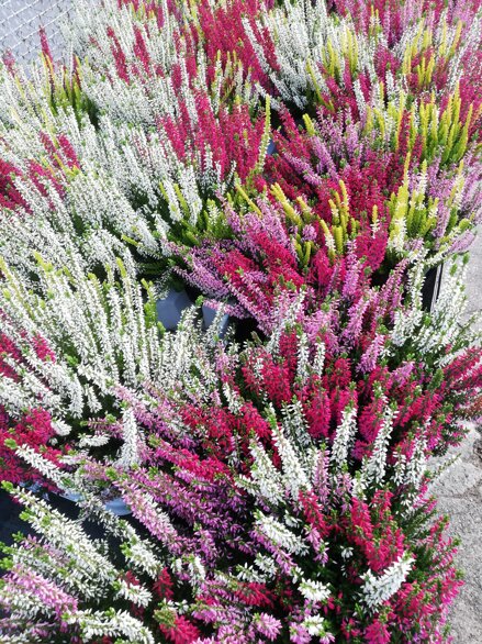 032baddb-e3d3-4194-80ea-bf7025631f56