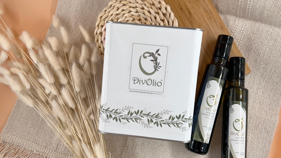 08876a9e-8c08-408c-9c4a-27d0f6fcaede