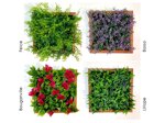 edge