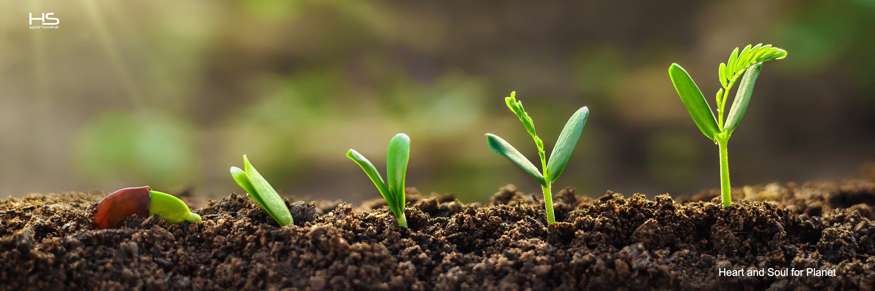 31127a12-1136-4e34-915c-bfec7bc4d38e 31127a12-1136-4e34-915c-bfec7bc4d38e