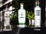 crea-la-tua-lampada-gin-selection