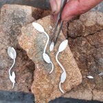 orecchini-in-trama-dargento-zefiro