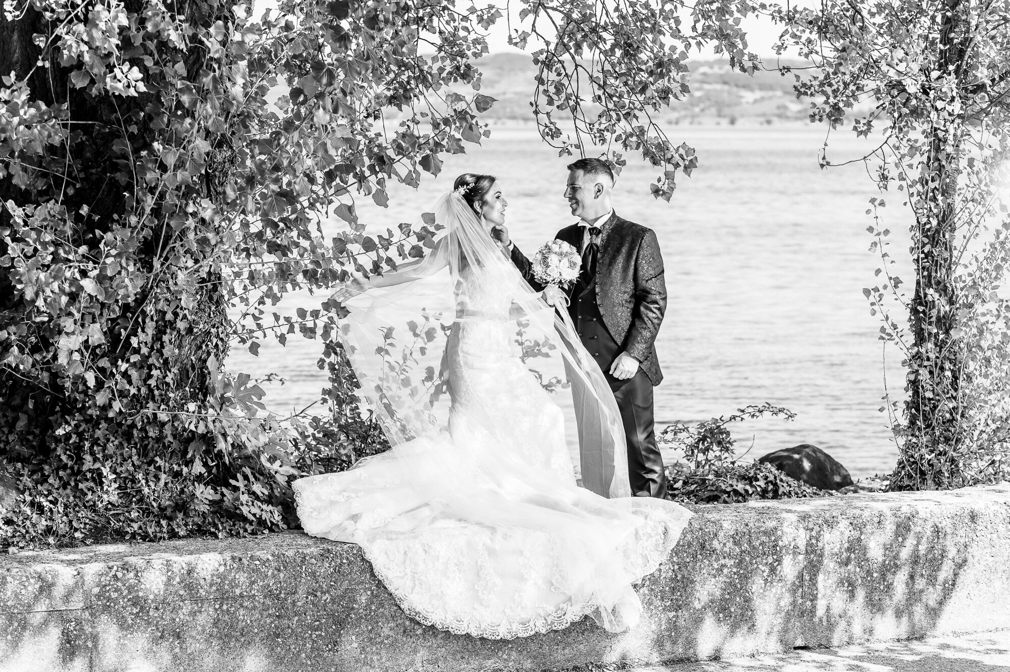 _dsc3937.jpeg _dsc3937.jpeg