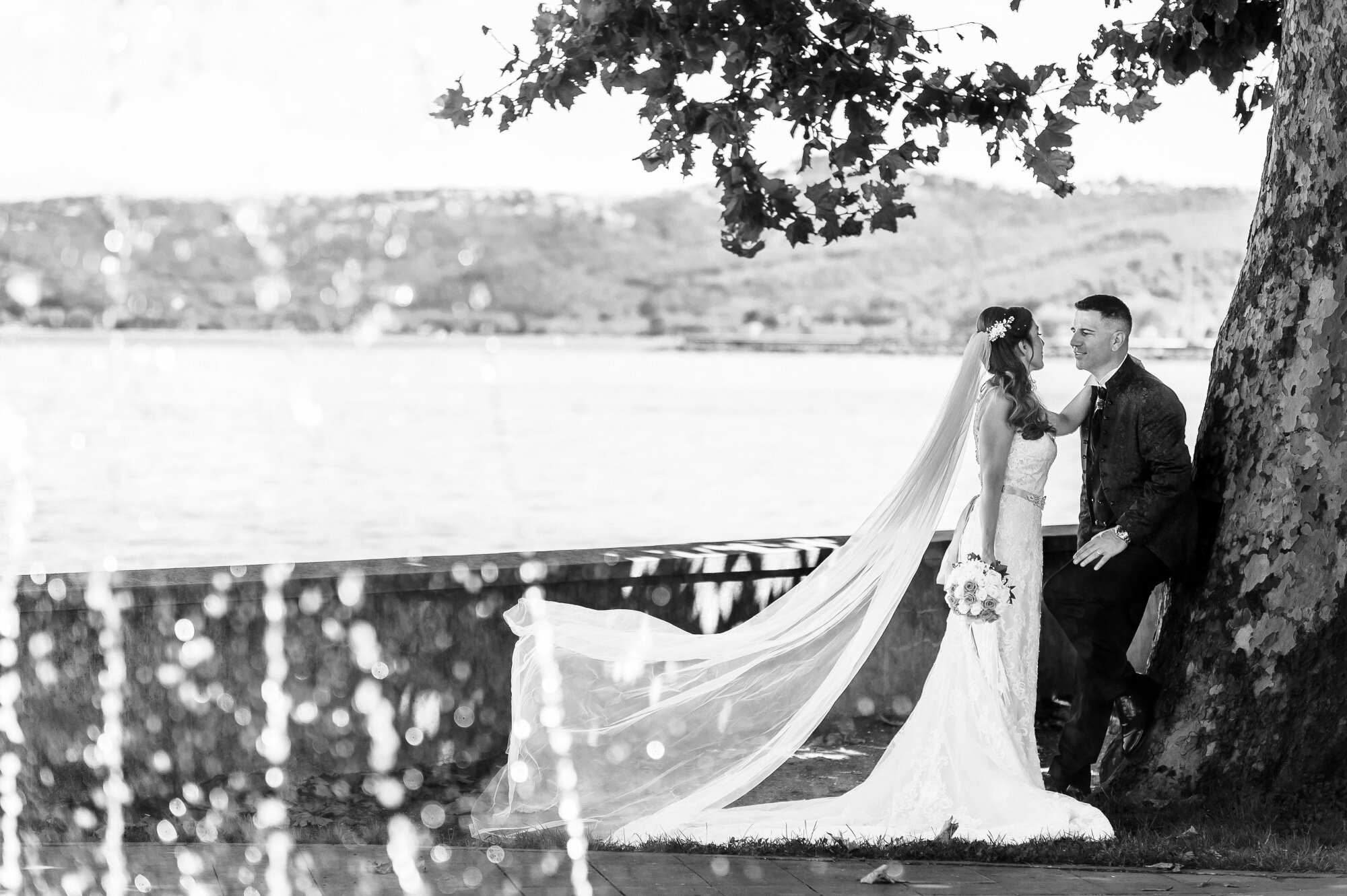 _dsc3961.jpeg _dsc3961.jpeg