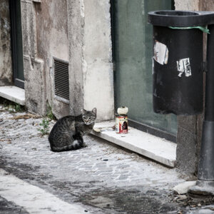 dsc_8750.jpeg