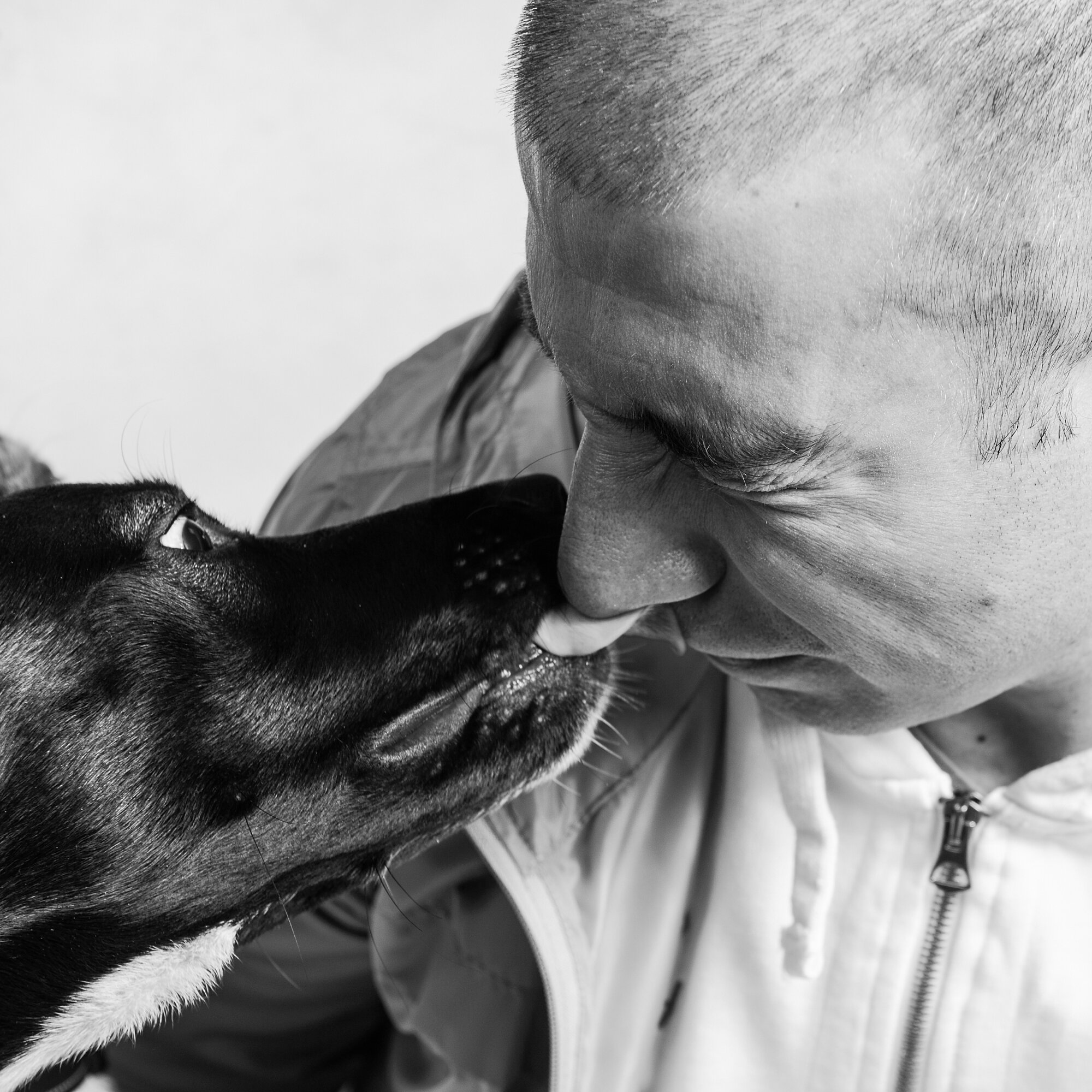 Scatta coi lupi! Una meravigliosa esperienza immersiva con il tuo animaletto del cuore!