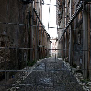dsc_8800.jpeg