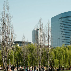 img_9660.jpeg