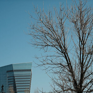 img_9659.jpeg