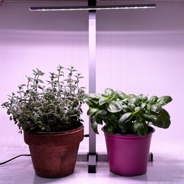 7207b278-93c7-408a-af35-3063aabcebcc