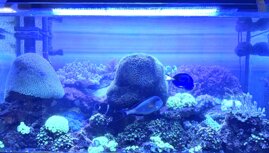 addd3e49-5d57-449c-a0a0-f01523b21a6e