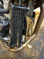 griglia-di-protezione-radiatore-olio-beta-alp-x-my2425