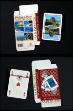 carte-da-gioco-tipo-genovesi-con-custodia