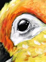 sun-parrot-pappagallo-dipinto