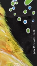 sun-parrot-pappagallo-dipinto