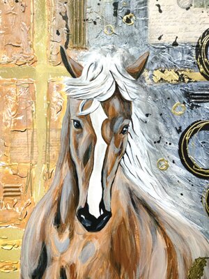 cavallo-selvaggio-stampa