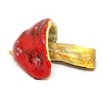 fungo-rosso-n-0406
