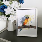 pappagallino-e-coccinella-stampa-con-cornice