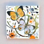 farfalla-gialla-dipinto