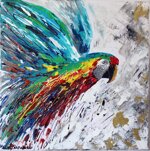 pappagallo-fly-dipinto