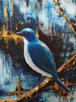 mexican-jay-uccello-dipinto