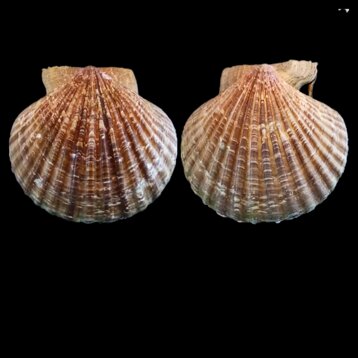 5012c527-768b-4370-8bc6-93003769f0a3