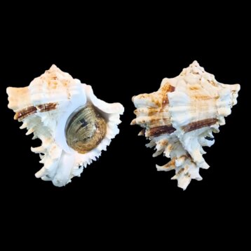 6903e94d-4676-4132-803f-444dc1274af0