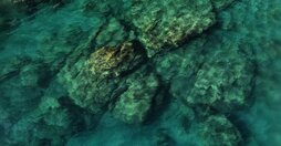 6895070d-a2b7-41bf-a50e-7d547317e0c7