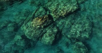 54bd4bc5-1044-4eca-984a-f2ca28616a1d