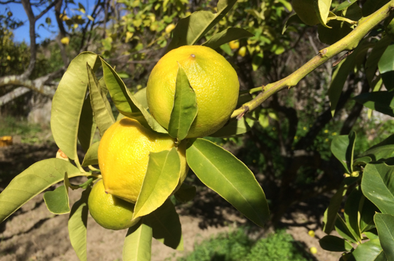 3623cb74-b2a8-4753-8855-23af7e96e644