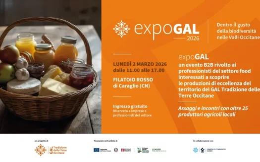 whatsapp-image-2026-01-30-at-16.54.12-20fa0dad whatsapp-image-2026-01-30-at-16.54.12-20fa0dad