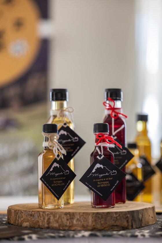 04fd7f40-97f4-477d-8699-b9b03ca6c4b0