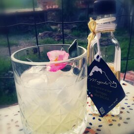 Vodka sour zenzero e salvia by Ottavia Castellaro by Ottavia Castellaro - Barlady