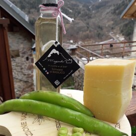 Merendino alla ligure Fave, pecorino e sciroppo al basilico