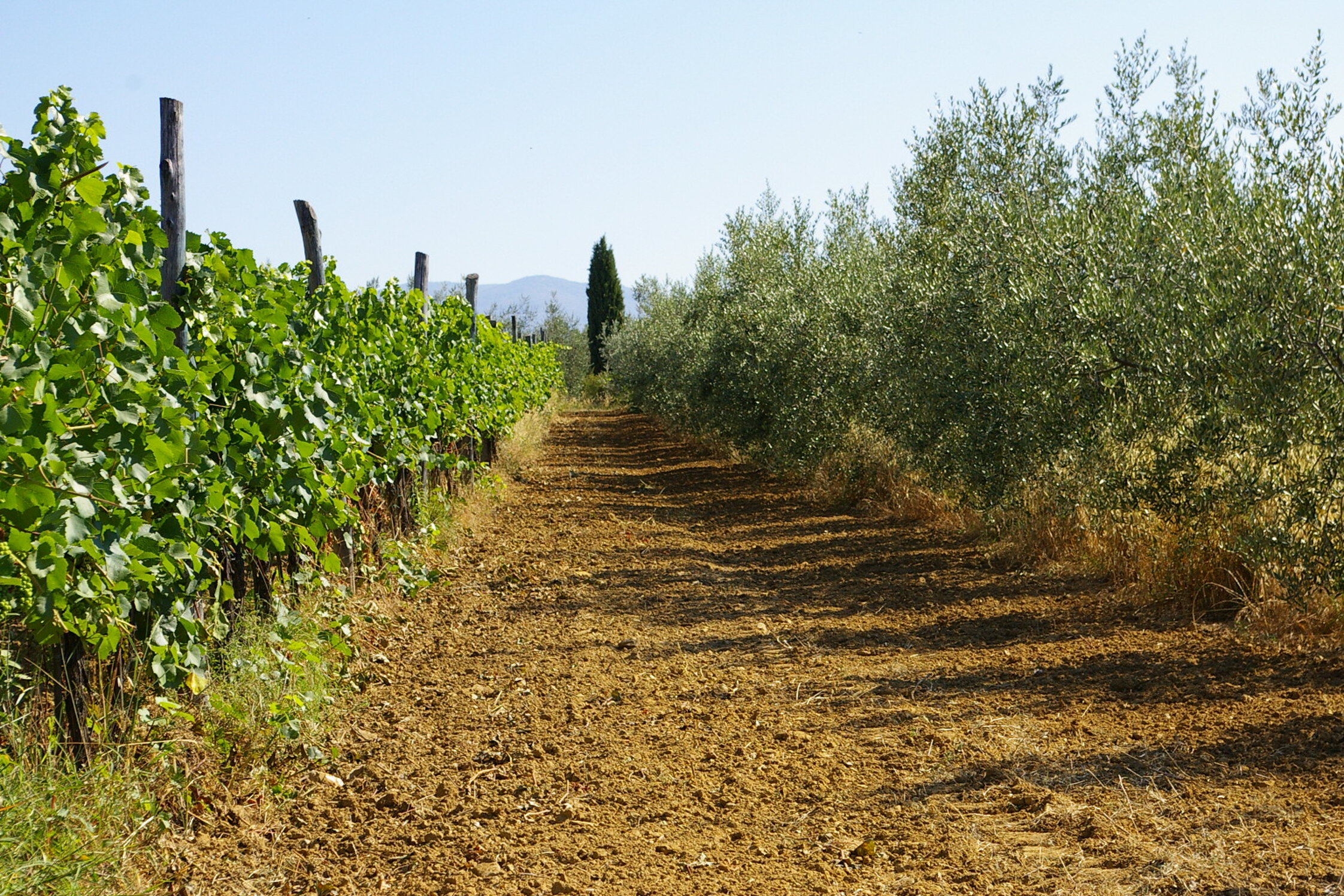 6f851129-9606-4480-9a99-17f95bfe140c 6f851129-9606-4480-9a99-17f95bfe140c