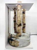 pandora-fontana-da-interno