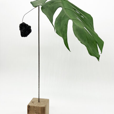 MONSTERA_MOBILE DA SCRIVANIA