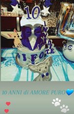 allestimenti-per-feste-private-e-pubbliche