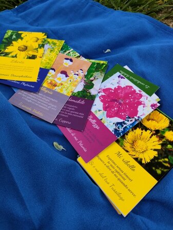 carte dei fiori di irene daurizio carte dei fiori di irene daurizio