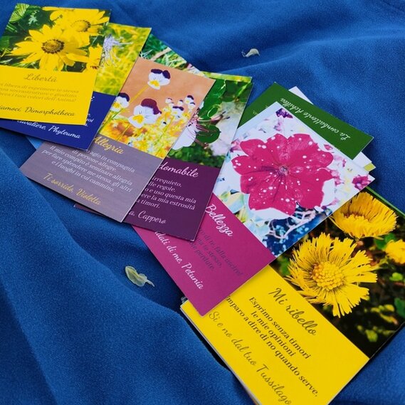 CARTE DEI FIORI DI CAMPO CARTE DEI FIORI DI CAMPO