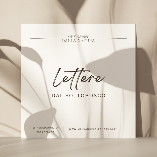 096e5b98-5791-4b40-b26e-6533fc8e4d8a